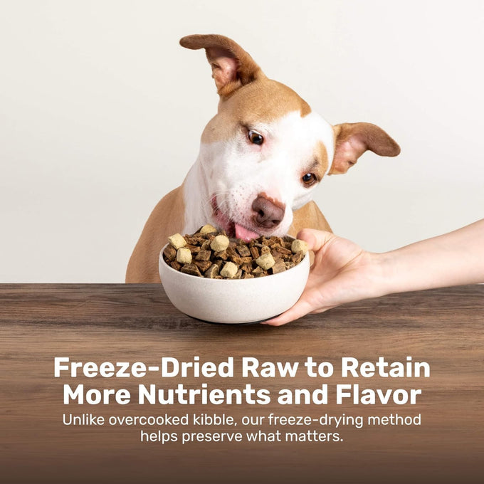 Badlands Ranch Freeze-Dried Duck & Kale Dog Treats, High Protein, No Artificial Additives, 8oz Bag