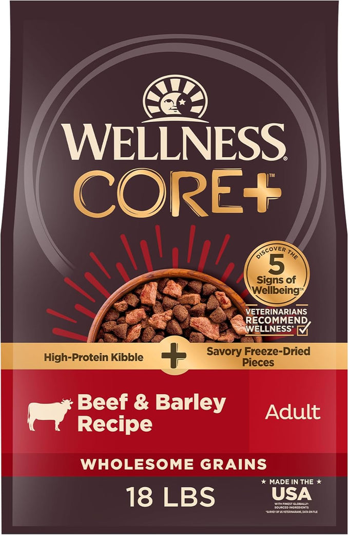 Wellness CORE+ Sensitive Skin and Stomach Adult Dry Dog Food with Freeze Dried Pieces, Wholesome Grain Kibble+, Natural, High Protein, Chicken Free, Salmon and Rice Recipe, 4 lb Bag