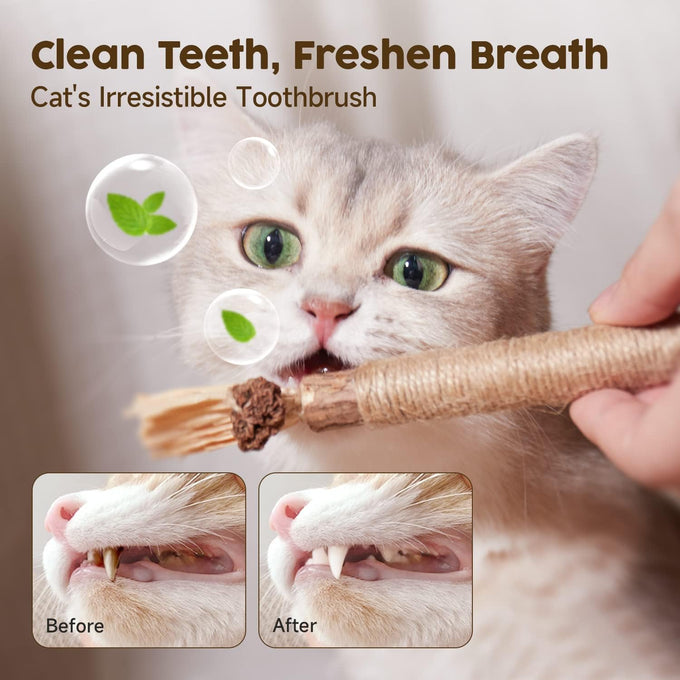 Potaroma natural silvervine sticks cat toys 6 pieces for kittens dental care and edible treats