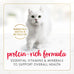 Purina fancy feast tender beef and chicken wet cat food 24 pack 3 oz cans