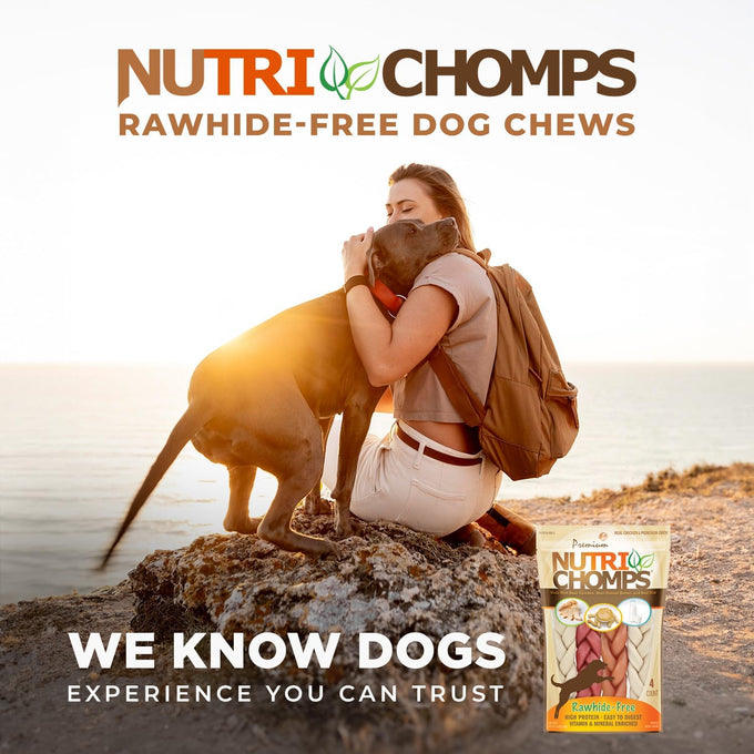 NutriChomps 6-inch Rawhide-Free Dog Treats, Healthy, Real Chicken, Peanut Butter and Milk Flavors, Pack of 4
