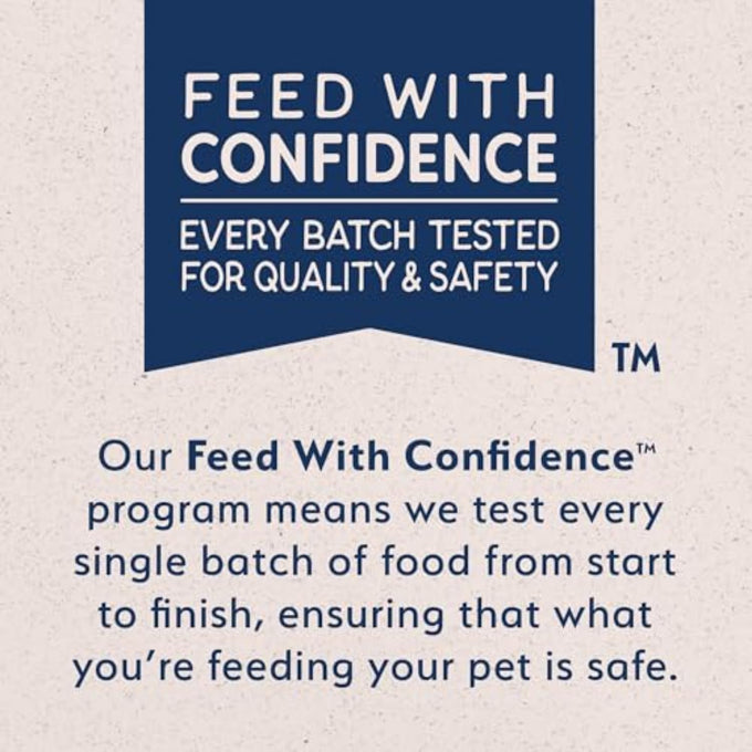 Natural Balance Limited Ingredient Adult Grain-Free Dry Cat Food - Balanced Nutrition - Soy-Free, Corn-Free Limited Ingredient Formula - 10 lb - Salmon & Green Pea Recipe