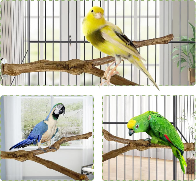 kathson natural parrot bird stand pole wild grape stick paw grinding fork parakeet climbing standing branches toy chewable cage accessories for small budgies cockatiels lovebirds set