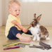 52pcs Natural Timothy Grass Molar Teeth Sticks, Rabbit Chew Toys, Guinea Pig Treats, Small Animal Snacks