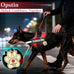 Opstin service dog vest with ID tag and 50 ADA cards, service dog harness in sizes X small to XX large, metal dog tag with ruggedized clip
