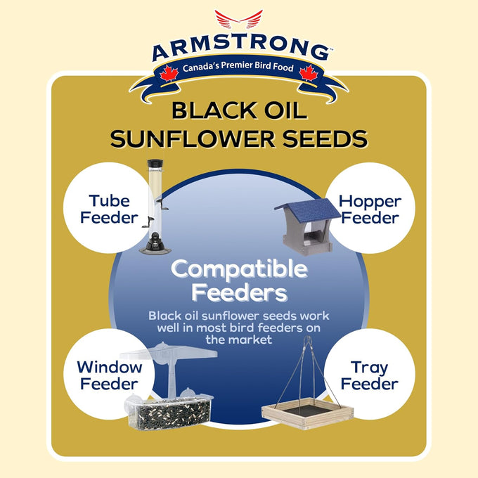 armstrong black oil sunflower bird seed, 35.3 pounds, northern cardinals, blue jays, hairy woodpeckers