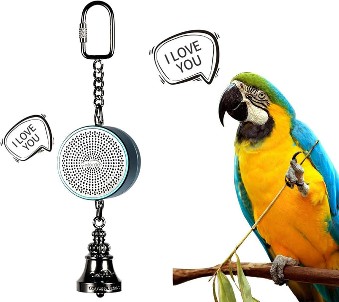 Colorday bird talking coach & interactive voice bell for parakeet parrots, easy voice recording & durable metal construction