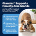 Vetnique Glandex Anal Gland Soft Chews with Pumpkin, Digestive Enzymes, Probiotics, Fiber Supplement for Dogs (Bacon Flavor, 60 Count)
