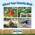 Backyard Seeds supreme wild bird food blend, 40 pounds, large bulk bag, USA made, high-energy formula