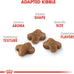 royal canin feline health nutrition kitten dry cat food, 7 lb bag for kittens 4 months to 1 year old