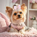 pink dog hair bows set with rubber bands, 10 pairs, 20 pieces, handmade mix style for small, medium, large dogs