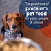 Canidae Pure Lamb, Turkey & Chicken Wet Dog Food, 13oz, 12-Pack