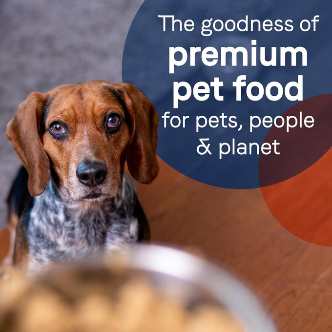 Canidae Pure Lamb, Turkey & Chicken Wet Dog Food, 13oz, 12-Pack