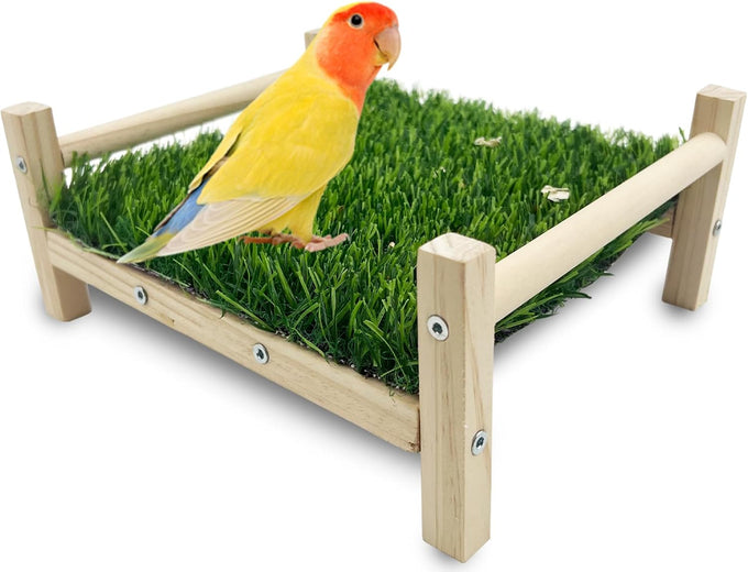 FlidRunest Parrot Hammock Bed, Bird Grass Perch Bed, Foraging Toy for Parakeet, Cockatiel, Lovebird, Conure