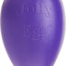 Jolly Pets large purple dog toy, 12 inches, USA made, floats, durable