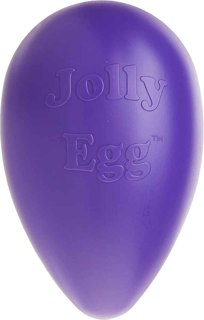 Jolly Pets large purple dog toy, 12 inches, USA made, floats, durable