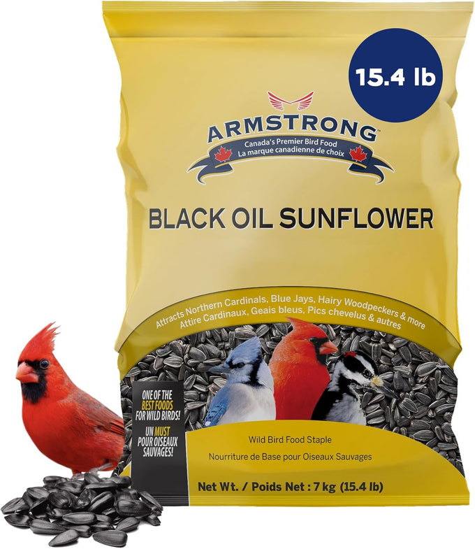 armstrong black oil sunflower bird seed, 35.3 pounds, northern cardinals, blue jays, hairy woodpeckers
