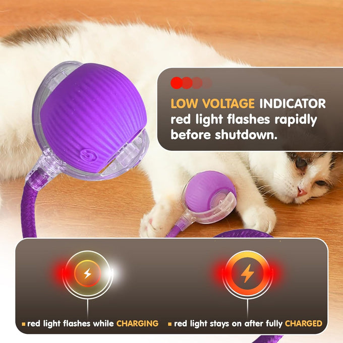Rocfish Durable Interactive Cat Toy for Indoor Cats, Automatic Chase Ball Toy Purple