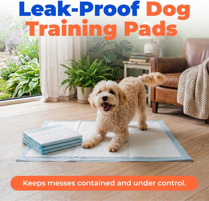 Baby Blue XL Puppy Pads 100 Count - Super Absorbent, Quick-Dry, Odor Control, and Leak-Proof for Indoor Dogs