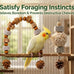 2 Pack Natural Bird Toys Set Arch Wood Swing Sola Ball, Cage Accessories for Cockatiel Conure Parakeets