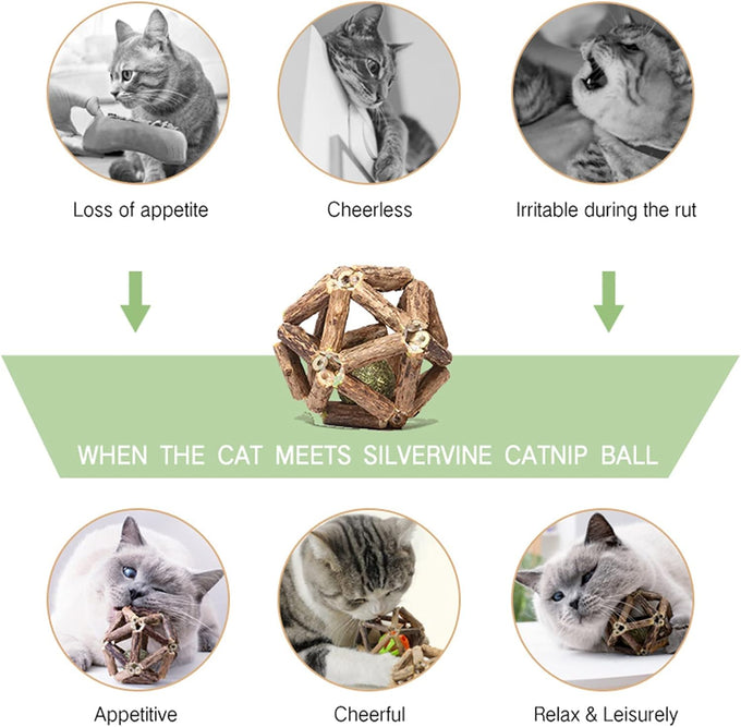 Gochanmon 2-pcs natural Silvervine stick and catnip ball cat toys for indoor cats and kittens