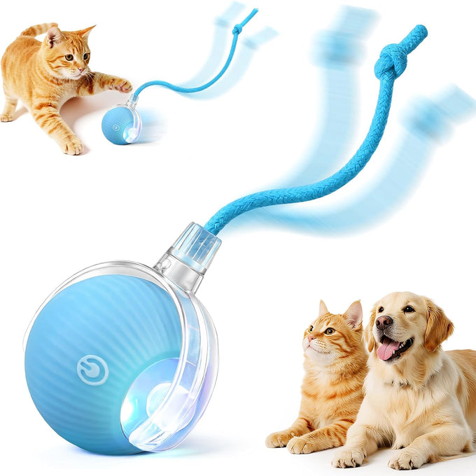 Red Red Interactive Electric Pet Ball Toy for Cats and Dogs with Motion Activation and USB Charging - 5-Inch Diameter