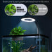 Pawfly 2-gallon betta fish tank kit, small aquarium starter kit with 6w led light, 65gph filter and siphon vacuum water changer