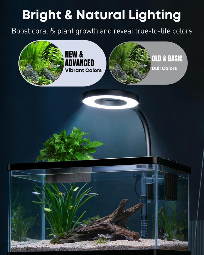 Pawfly 2-gallon betta fish tank kit, small aquarium starter kit with 6w led light, 65gph filter and siphon vacuum water changer