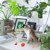 46 PCS cat toys for indoor cats kittens exercise, colorful spring toys crinkle mouse ball mint catnip gift