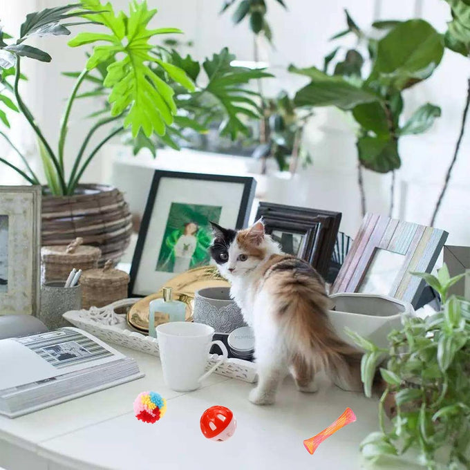 46 PCS cat toys for indoor cats kittens exercise, colorful spring toys crinkle mouse ball mint catnip gift