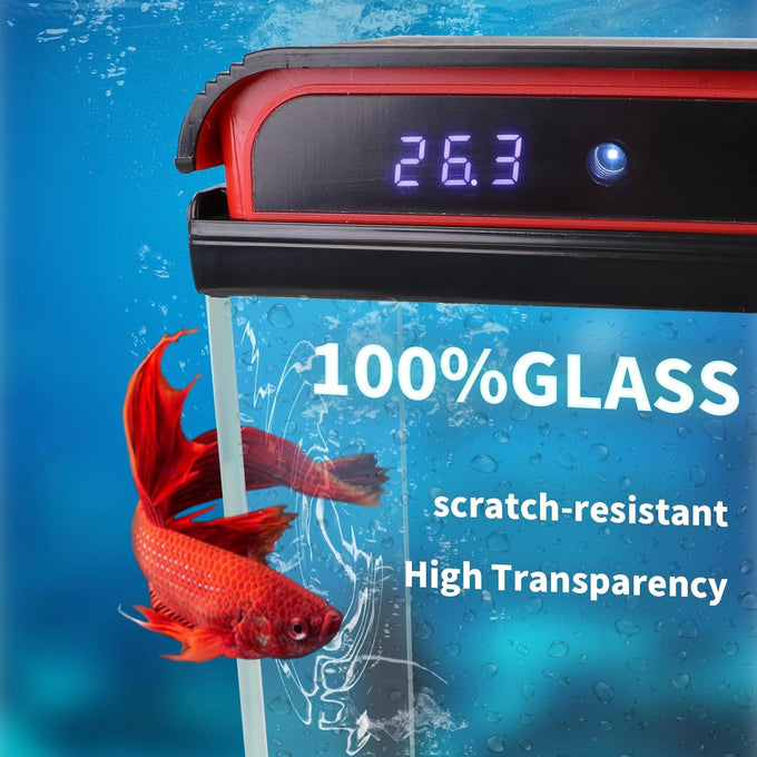 5-gallon glass aquarium starter kit for betta, shrimp, guppy, jellyfish, goldfish and beta with self-cleaning pump and 3-color light