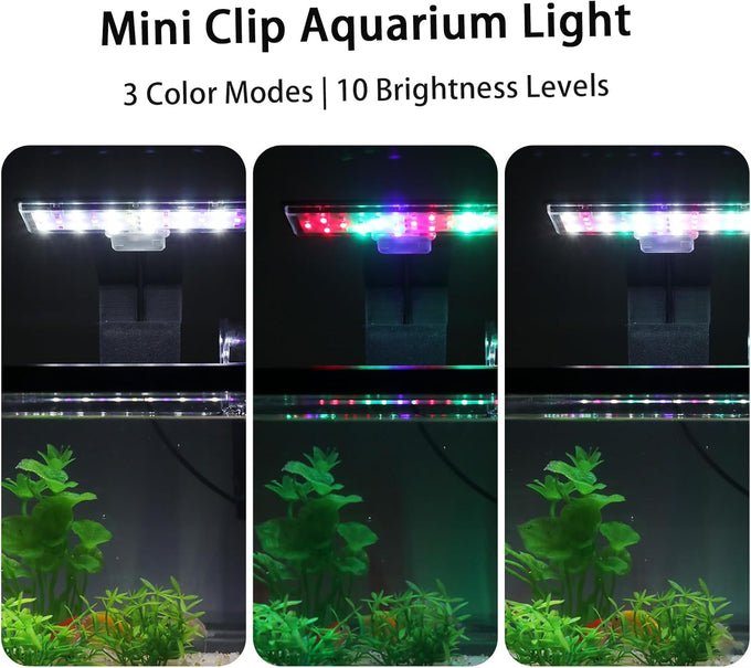 1.7 gallon acrylic aquarium starter kit with LED light and quiet filter, desktop betta fish tank for office or home