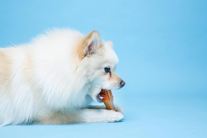 Hartz  Chew 'n Clean Chicken Flavored Drumstick Dog Toy, Small for Puppies and Adult Dogs, Teething and Chewing Toy