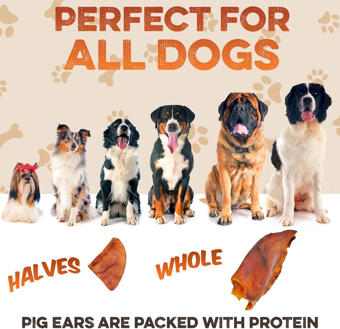 brutus-and-barnaby-whole-pig-ears-dog-chews-12ct-all-natural-slow-cooked