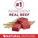 Purina ONE Small Bites Beef & Rice Dry Dog Food - 31.1 lb