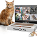 cat laptop scratcher 3-in-1 cardboard interactive kitten toy with mouse jingle ball stickers