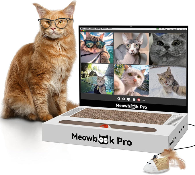 cat laptop scratcher 3-in-1 cardboard interactive kitten toy with mouse jingle ball stickers