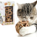 Gochanmon 2-pcs natural Silvervine stick and catnip ball cat toys for indoor cats and kittens