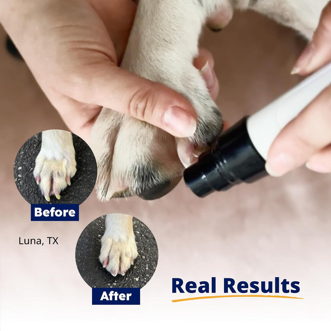 Silent Groom Pro Pet Nail Grinder for Dogs, Cats, and Other Animals - Whisper Quiet Claw Trimmer