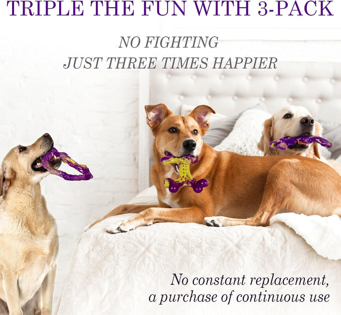 Frienhund tough nylon dog toys 3 pack for aggressive chewers, durable dog bones for medium large breeds