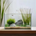 Vimvins 3 gallon frameless glass fish tank for betta, goldfish, snails, shrimp and aquatic planting