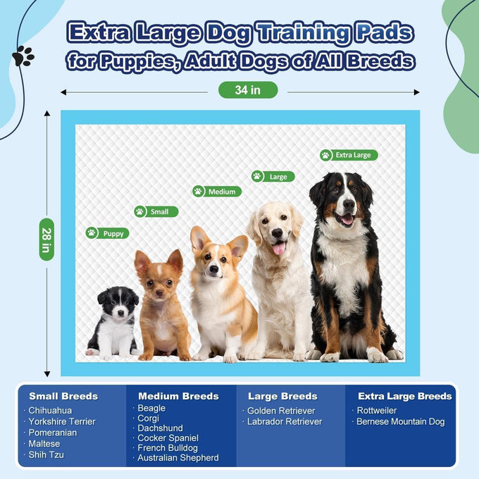 Oomicat Puppy Pads XL 100 count, extra large 34x28 disposable dog training pads with 6-layer leak-proof protection