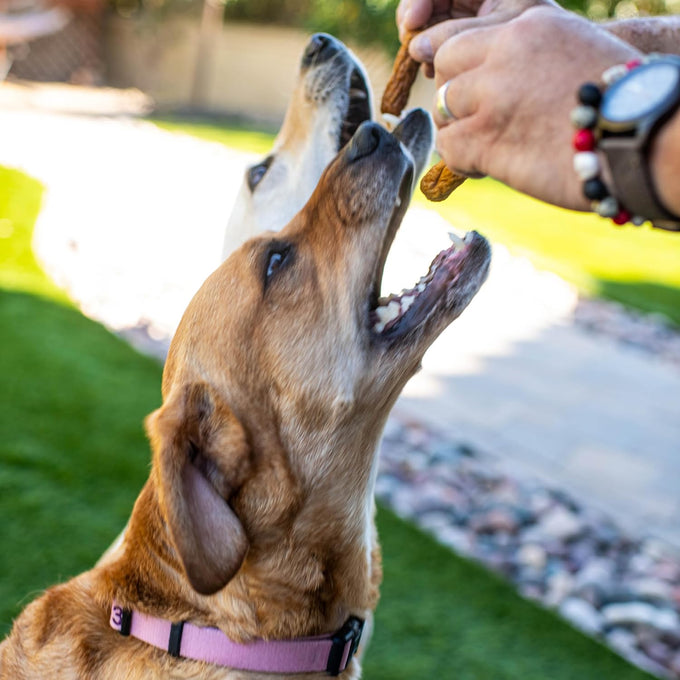 Loving Pets Natural Value Duck Sausages - Soft Jerky Dog Treats for Large & Small Breeds - Healthy Gluten, Wheat, Soy & Grain Free Pet Treats