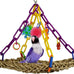 Super Bird Creations SB747 Mini Flying Trapeze Bird Toy for Small Birds, 6” x 7” x 9”