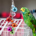 Oooct colorful parrot wind chime bird toy hanging chewing accessory for small to medium birds budgie conures parakeets cockatiels rats