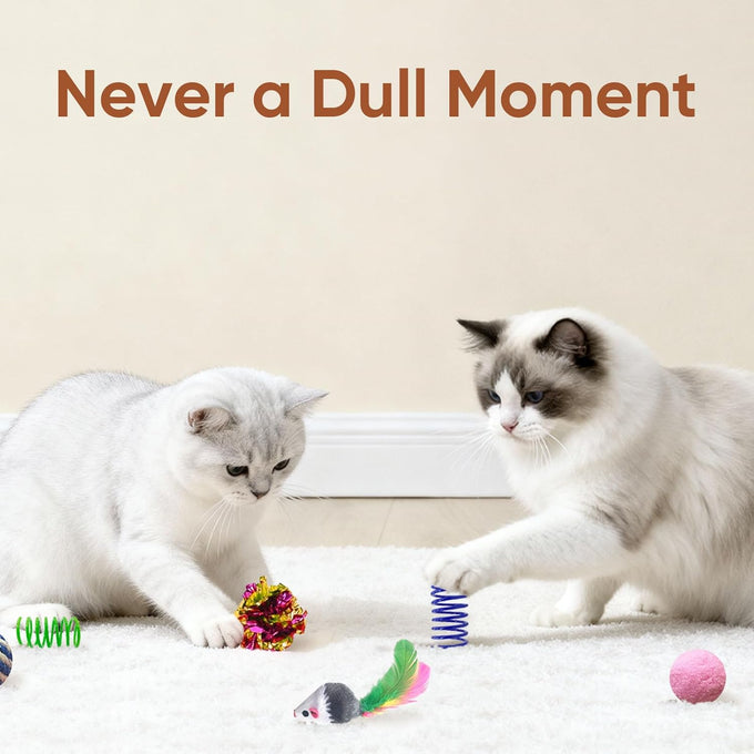 Cat Toys Set for Indoor Cats, 35-Pack Interactive Toy Set with Colorful Springs and Mouse