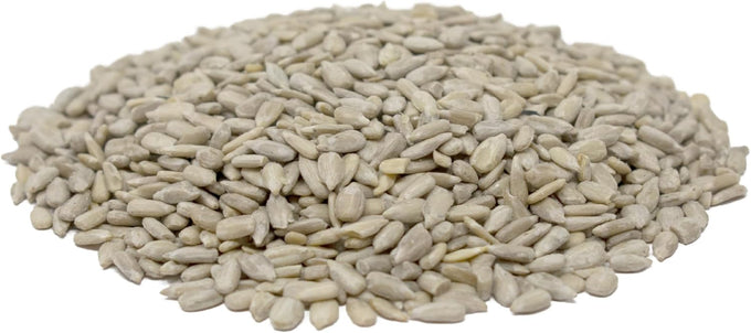 Audubon Park 100% Sunflower Kernels Wild Bird Seed, 15-lb Bag for Outside Feeders