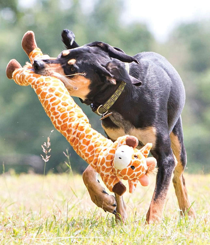 outward hound giraffe longidues squeaky plush dog tug toy 29 inch ultra-long durable k9 tuff guard