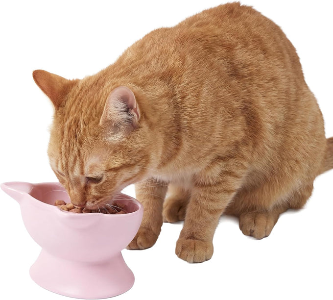 Whisker-friendly elevated cat bowls set of 2 white and gray modern pedestal design