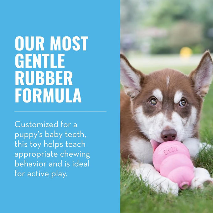 Kong puppy toy natural teething rubber for medium puppies fun to chew and fetch pink